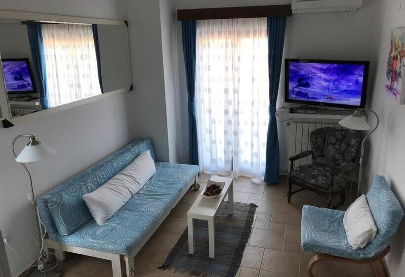 פנסיון Villa Betiga