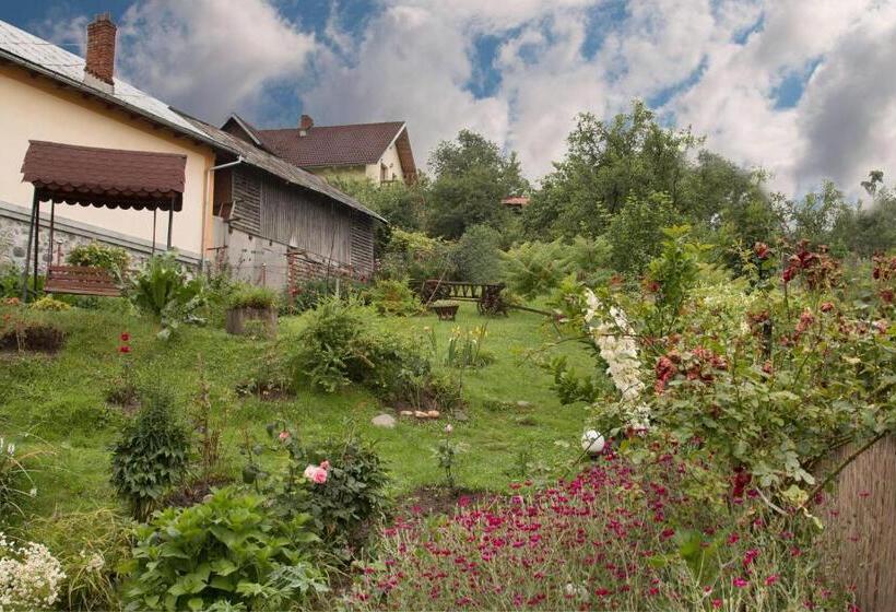 Pensiunea Colt De Munte