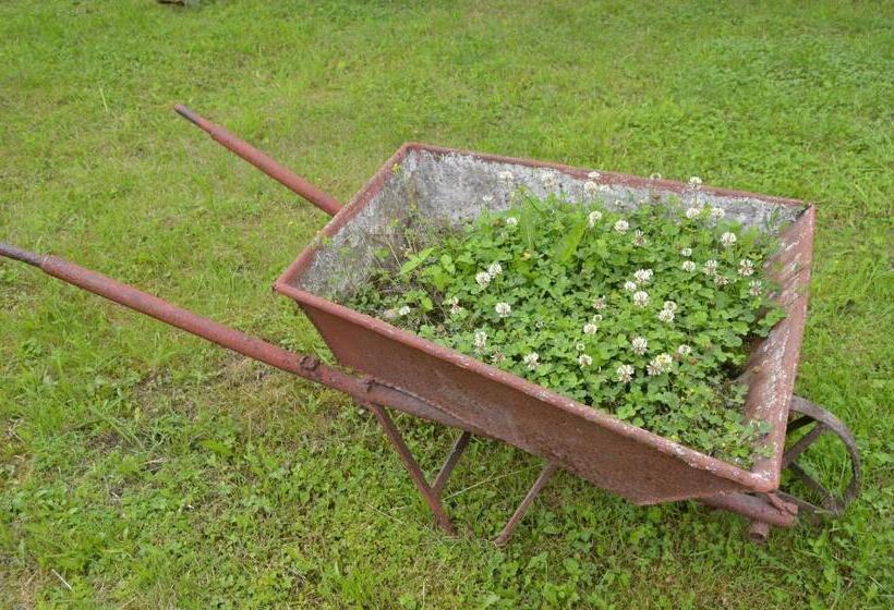 Pensiunea Colt De Munte