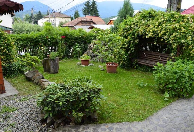 Pensiunea Colt De Munte