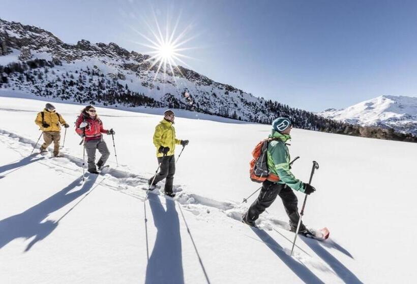 فندق صغير Central La Fainera Superior