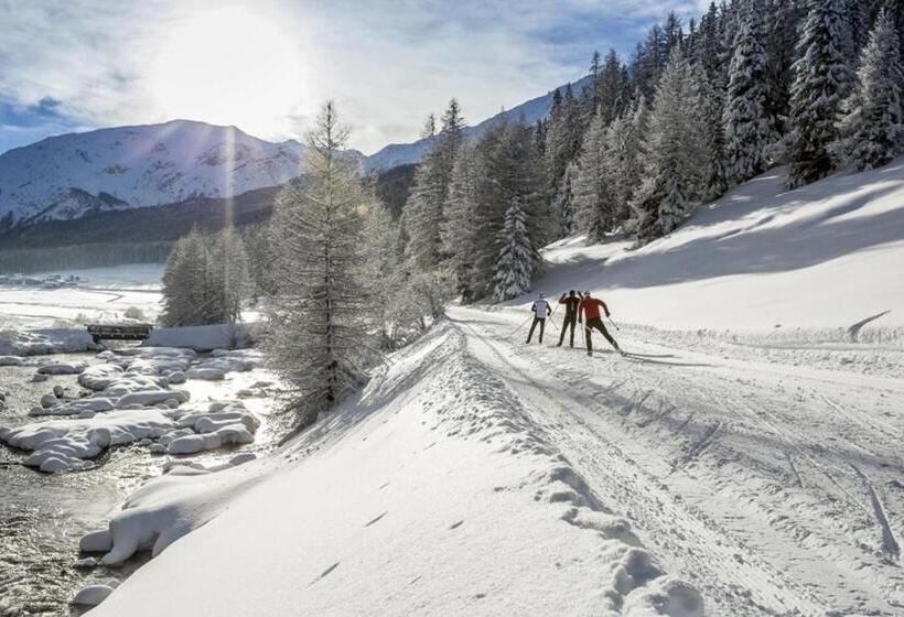 فندق صغير Central La Fainera Superior