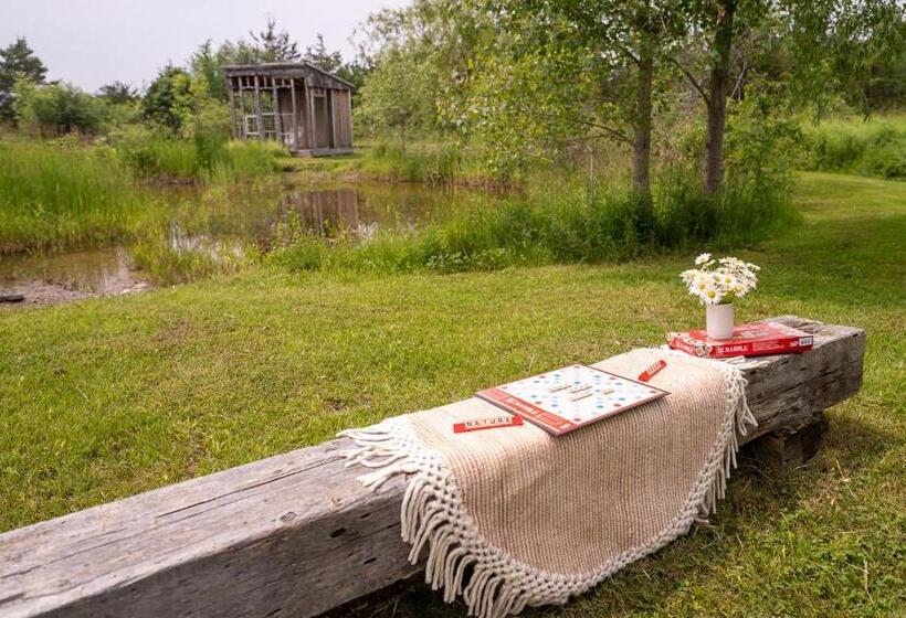 مبيت وإفطار Owl's Nest Suites