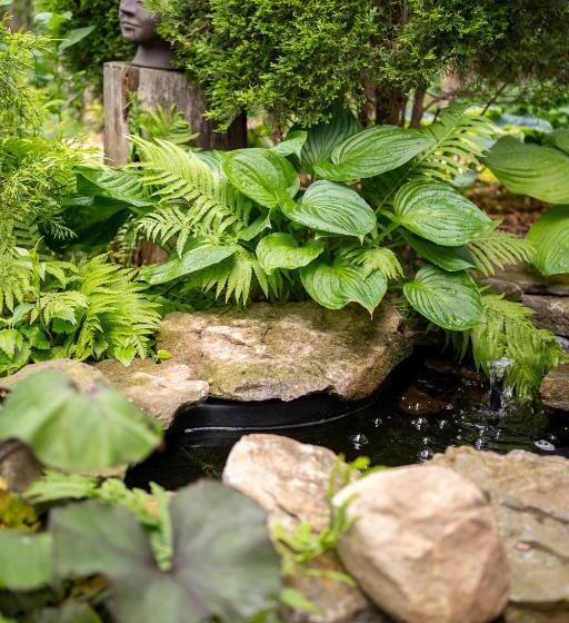 مبيت وإفطار Owl's Nest Suites