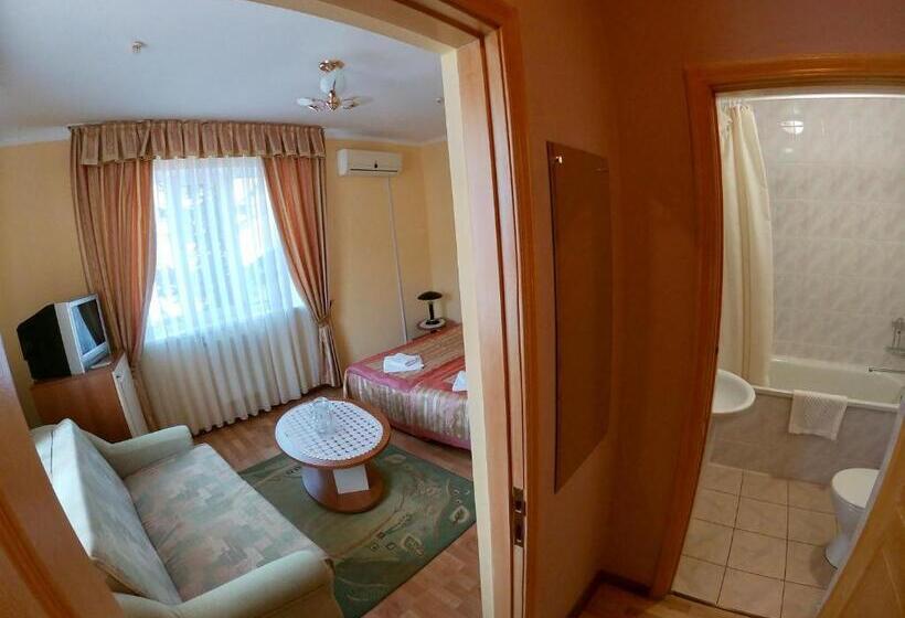 호텔 готель мараморош