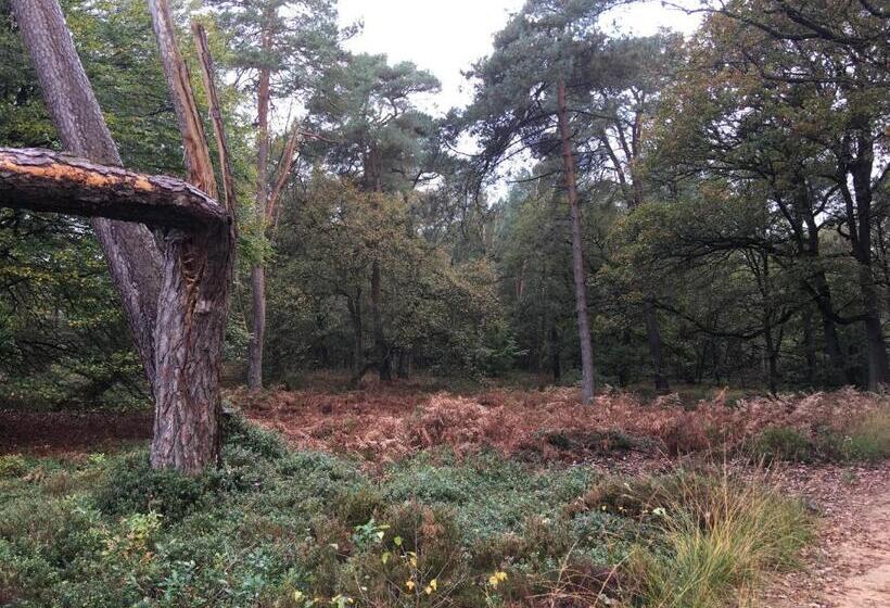 בית מלון כפרי De Slaapfabriek Vakantiehuis En Trainingslocatie