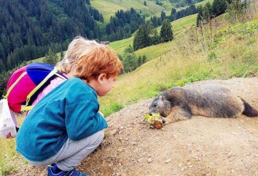 Отель Des Portes Du Soleil