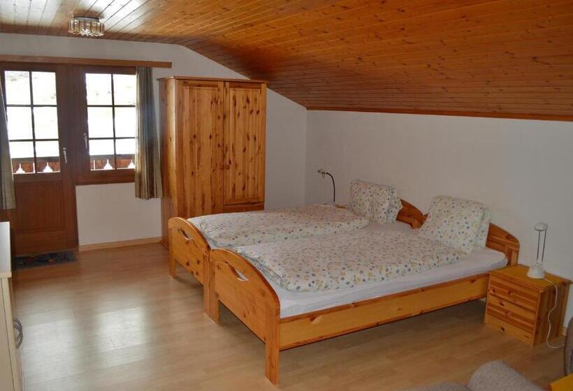 בית מלון כפרי Grimsel