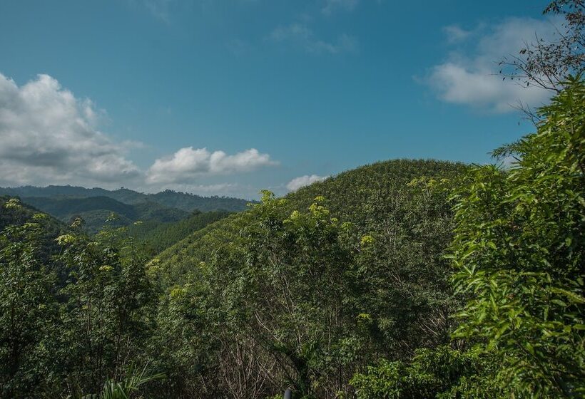 酒店 Mountain View House