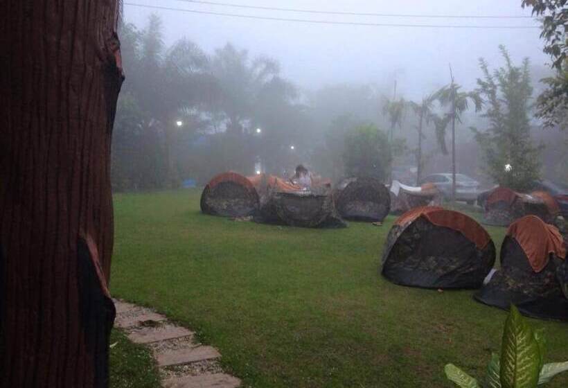 酒店 Mountain View House