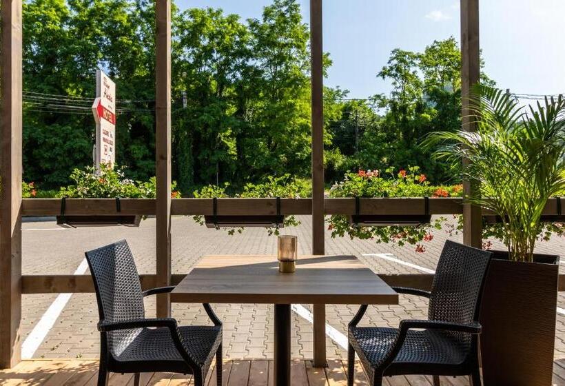 Отель Restaurant Alesia