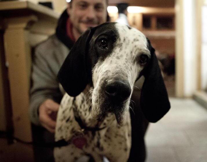 Отель Valbruna Inn Bed & Breakfast