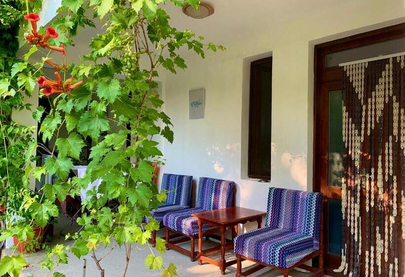 פנסיון Casa Palaghia