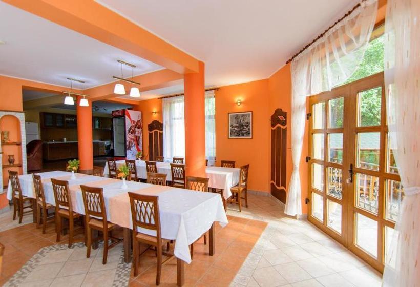 Пансион Medve Desag Ursul