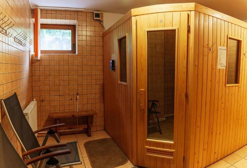 פנסיון Medve Desag Ursul