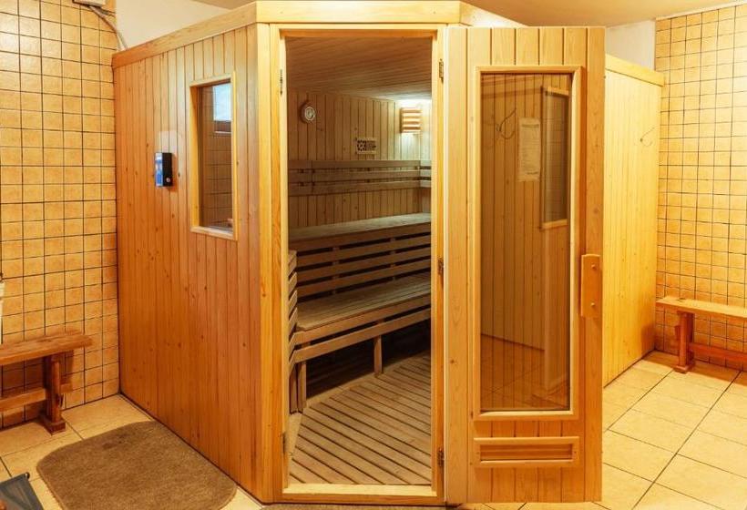 Пансион Medve Desag Ursul