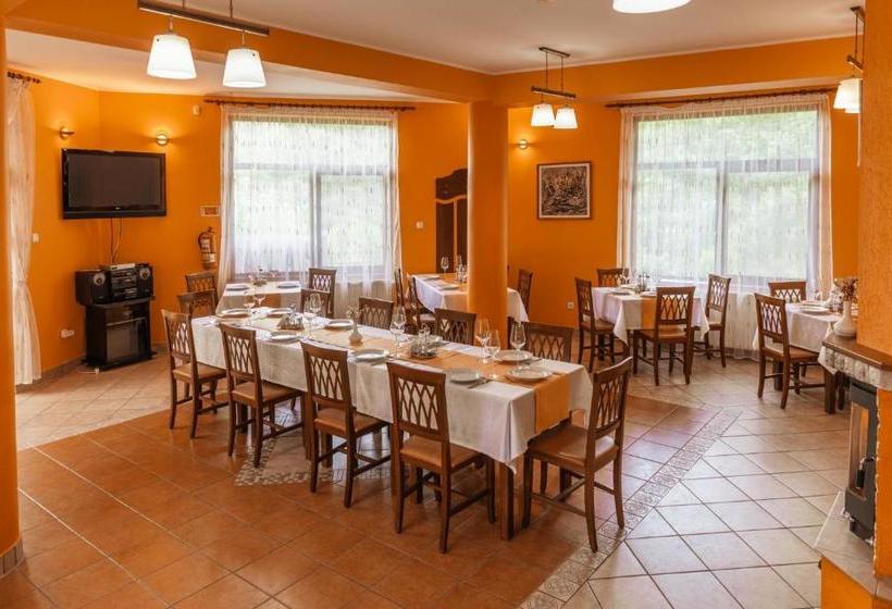 Пансион Medve Desag Ursul