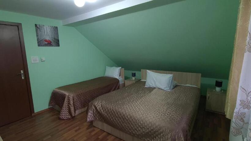 Pensiunea Aurora  Hostel Voineasa