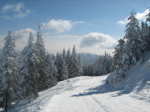 Súgó Panzió Madarasi Hargita