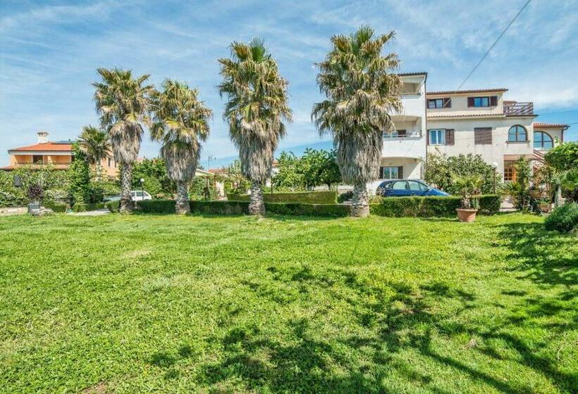 Apartments And Rooms Ana Pomer 217