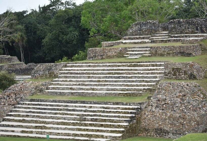 Becks Bed And Breakfast