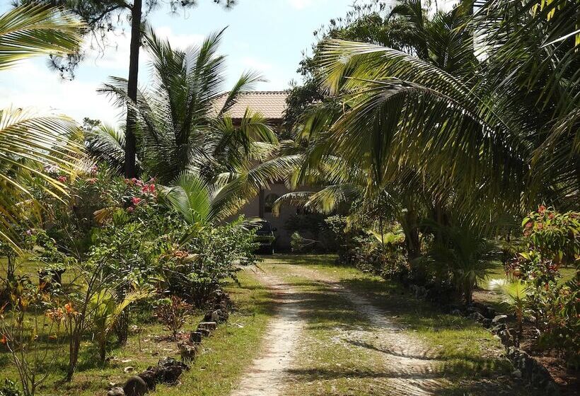 Becks Bed And Breakfast