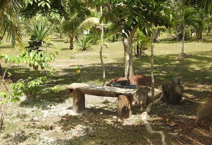 Becks Bed And Breakfast