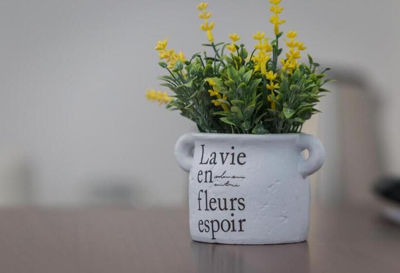 ベッドアンドブレックファースト Rooms Imperial House