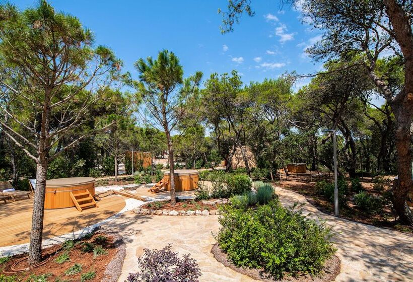 בית מלון כפרי Arena One 99 Glamping