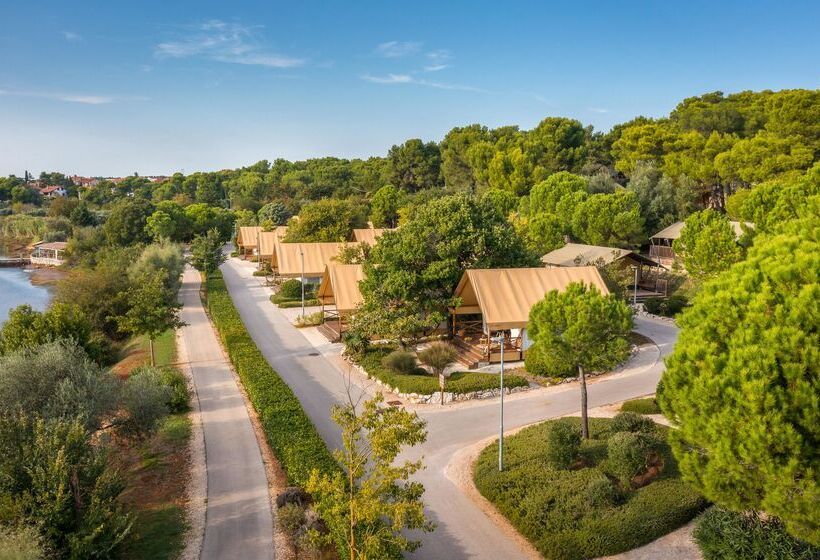 בית מלון כפרי Arena One 99 Glamping