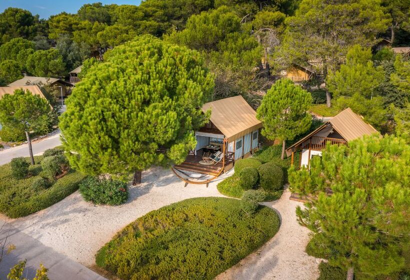 בית מלון כפרי Arena One 99 Glamping