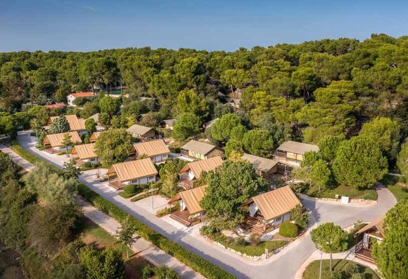 בית מלון כפרי Arena One 99 Glamping