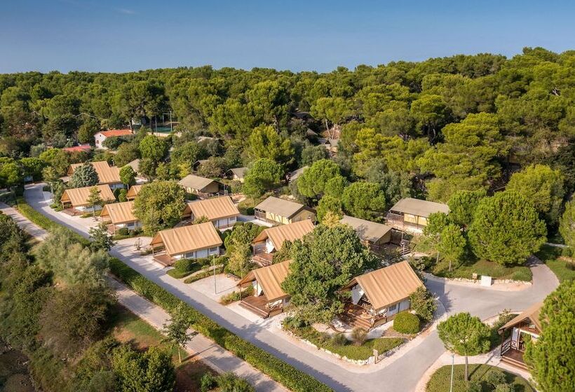 בית מלון כפרי Arena One 99 Glamping