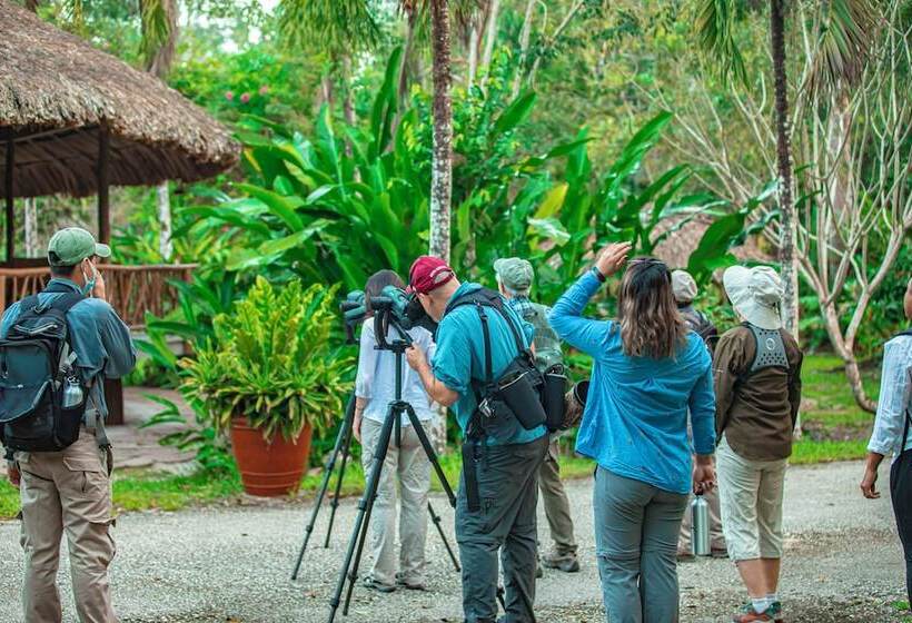 Отель Chan Chich Lodge