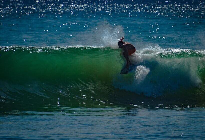 酒店 Hilltop Cabanas