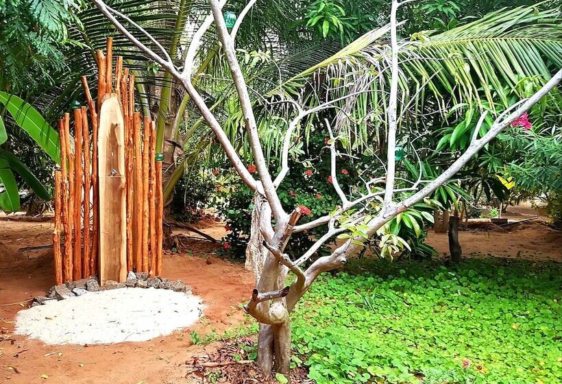 酒店 Hilltop Cabanas