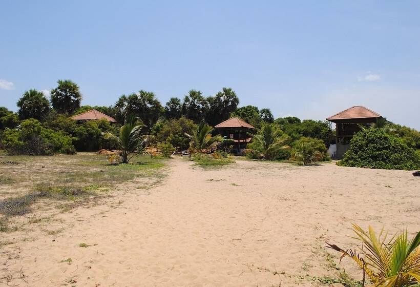 酒店 Hilltop Cabanas