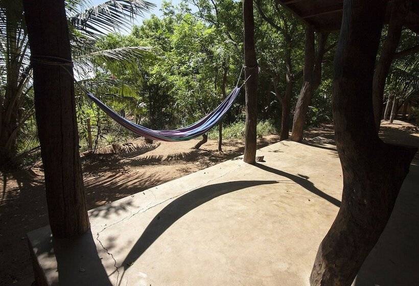 酒店 Hilltop Cabanas