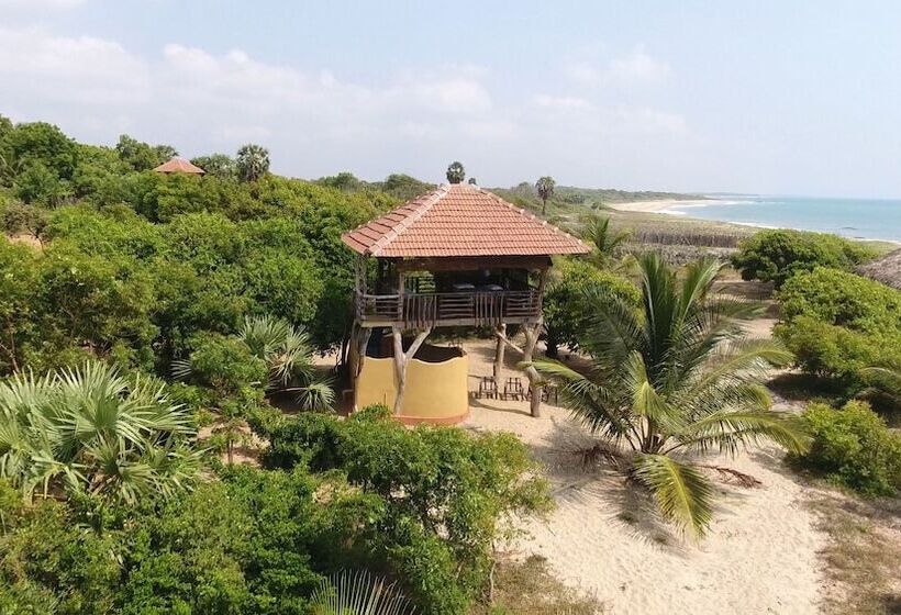 酒店 Hilltop Cabanas