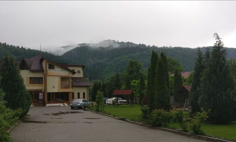 Отель Pensiunea Floare De Colt