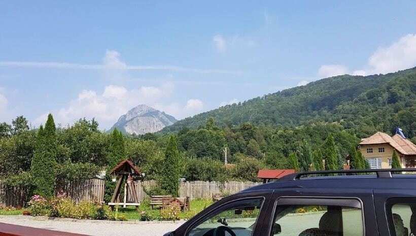 Отель Pensiunea Floare De Colt