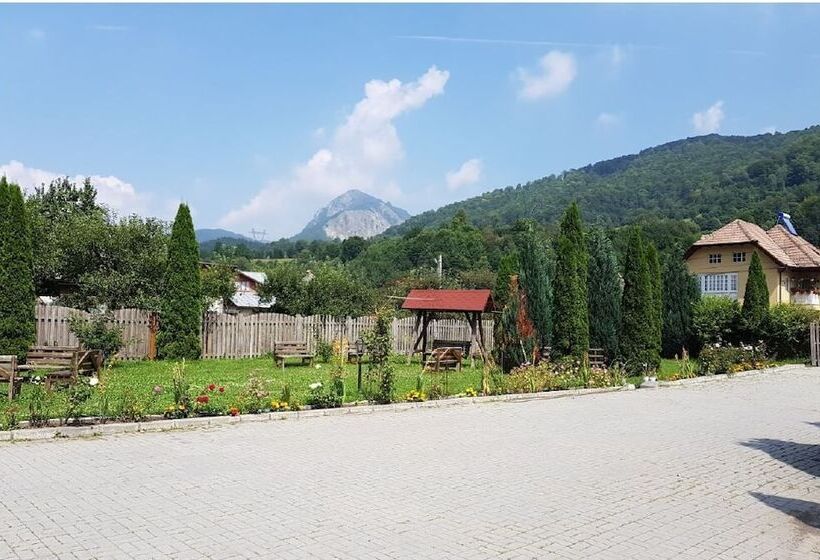 Отель Pensiunea Floare De Colt