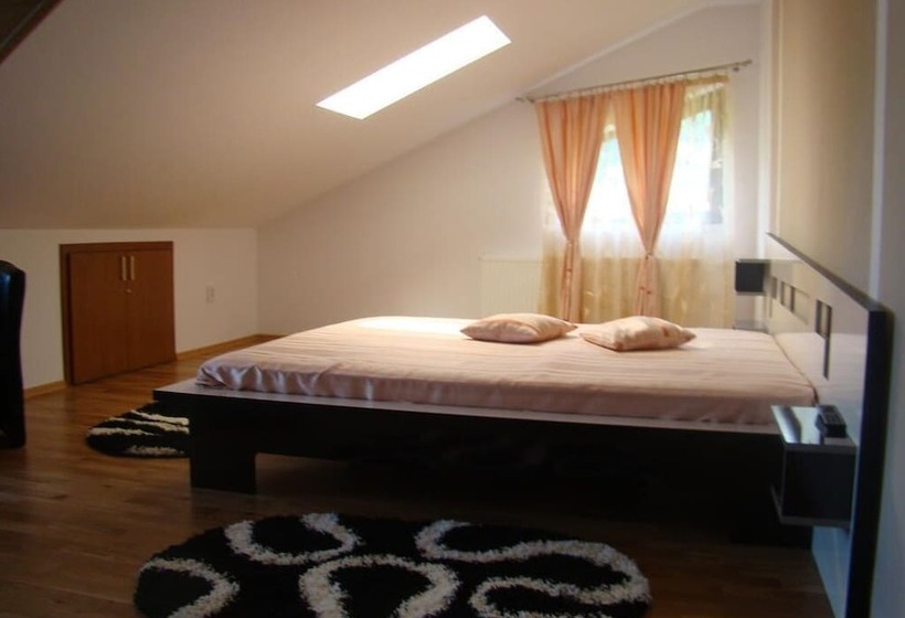 Отель Pensiunea Floare De Colt