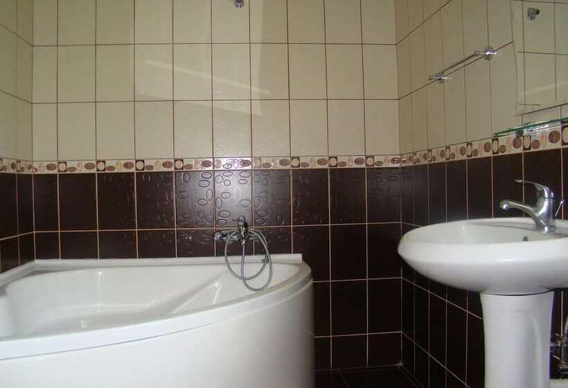 Отель Pensiunea Floare De Colt