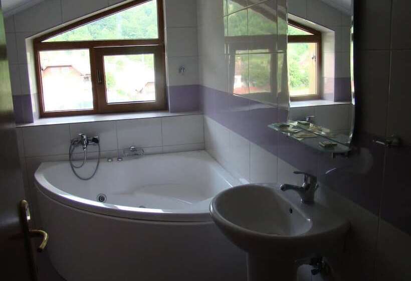 Отель Pensiunea Floare De Colt