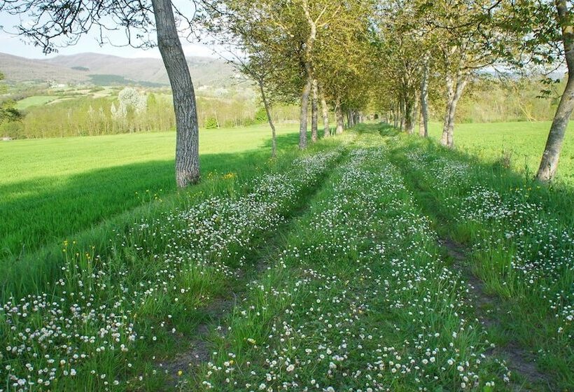 田舎風ホテル Agriturismo Casa Agricola Rossi Appartamenti In Casentino
