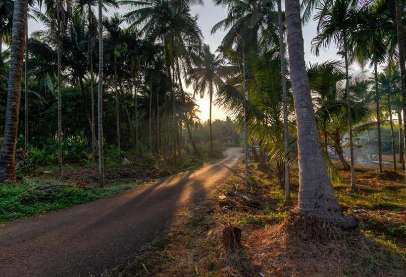 בית מלון כפרי Shantai By The Lake