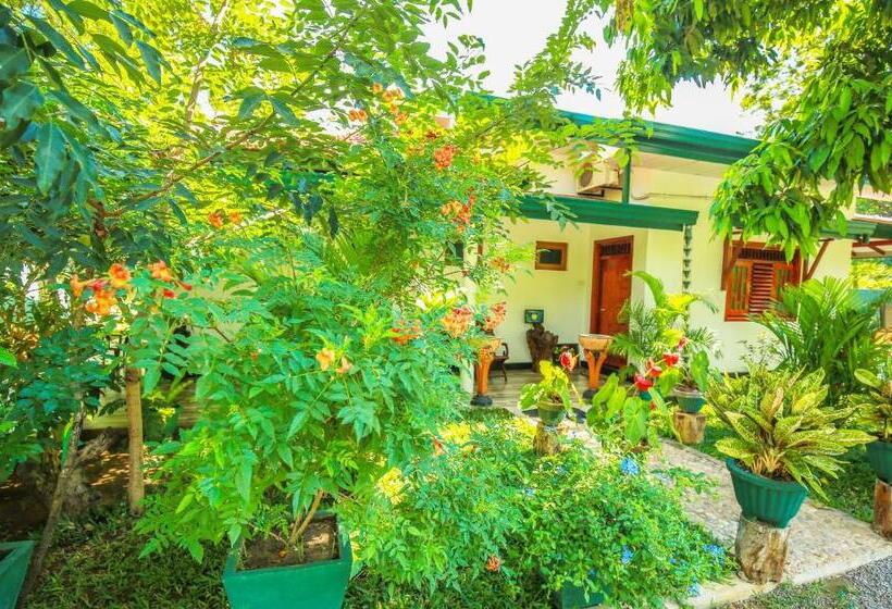 호텔 Yala New Nehansa Resort