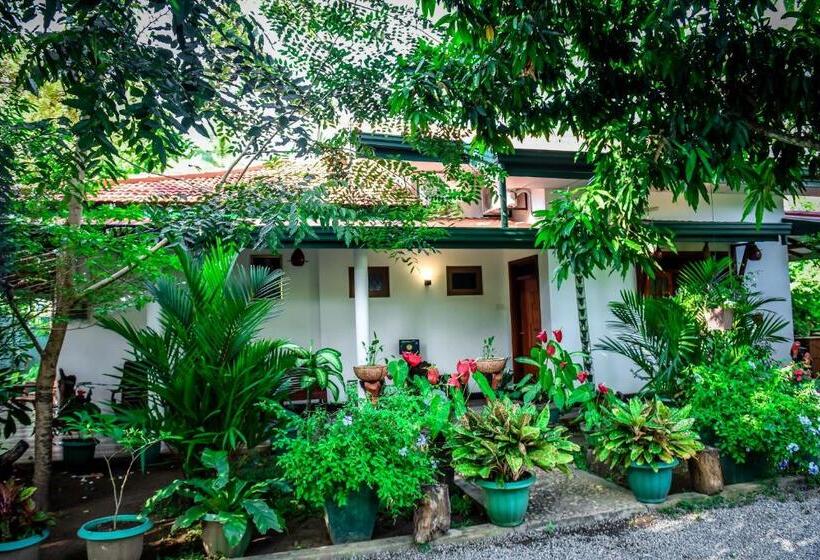 호텔 Yala New Nehansa Resort