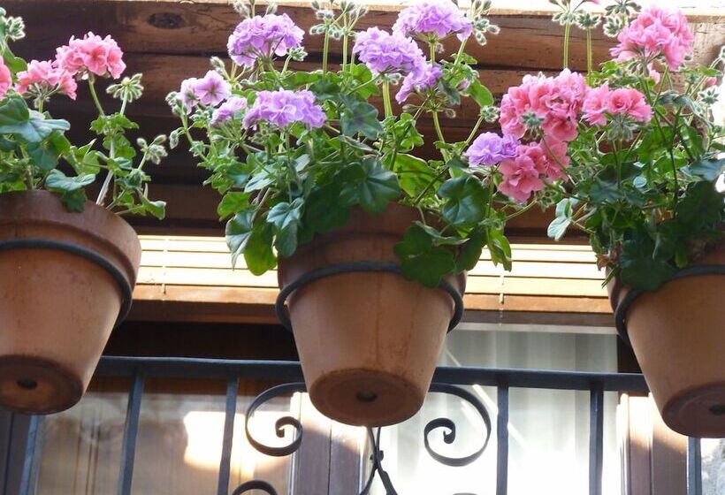 Idyllic Country House In The Foothills Of The Pyrenees